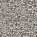 leopard-MH00427