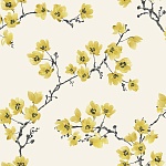 blossom-MH00426