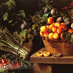 Still life 2007